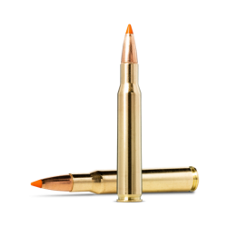 20 Munitions NORMA...
