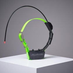 Collier pour chien GARMIN...