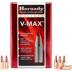 Boîte de 100 balles Hornady...