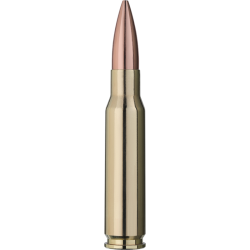 RWS TARGET ELITE PLUS 308...