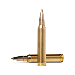 Munitions Norma Cal.300 win...
