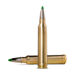 Munitions NORMA calibre 270...