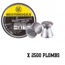 2500 Plombs 4,5 mm RWS...