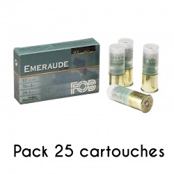 25 munitions FOB Brenneke...
