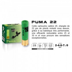MARY ARM PUMA 22 CAL 28/70...
