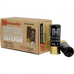 10 Cartouches HORNADY 12/70...