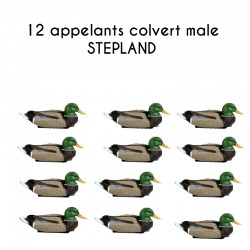 12 appelants colvert male...