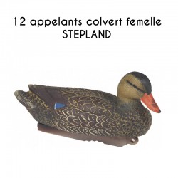 12 appelants colvert...