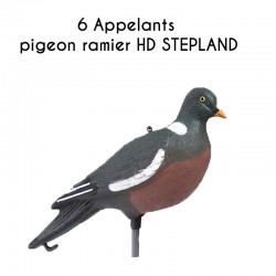 6 Appelants pigeon ramier...