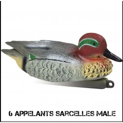 6 Appelants sarcelle male...