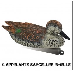 6 Appelants sarcelle...