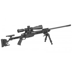 Carabine ATA ALR 308 Win...