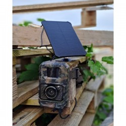 Piège Photo + vidéo...