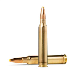20 Munitions NORMA Cal.300...