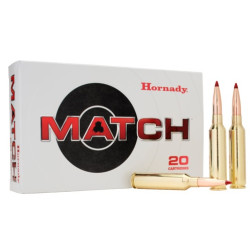 20 Munitions HORNADY...