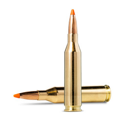 20 Munitions NORMA Cal.243...