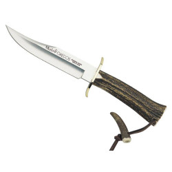 DAGUE MUELA DAGUE GREDOS...