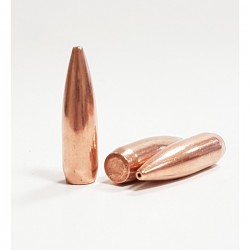 250 OGIVES PARTIZAN CAL30...