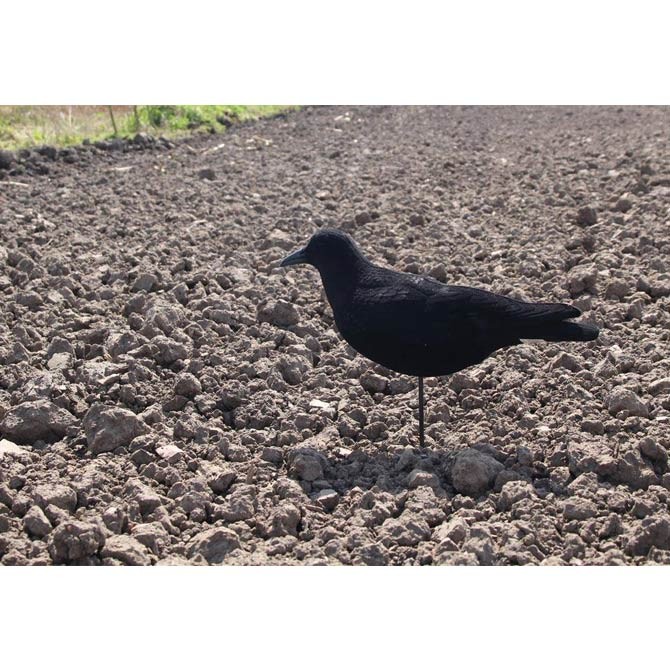 APPELANT PLASTIQUE CORBEAU FLOQUE