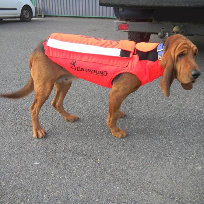 GILET PROTECT PRO LIGHTORANGE