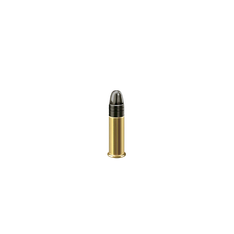Munitions 22LR RWS Long Range Match | Chasse-Tir-Concept