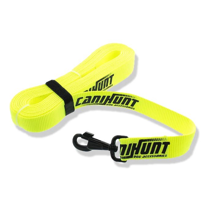 Longe sangle plate polyester 5 m Canihunt