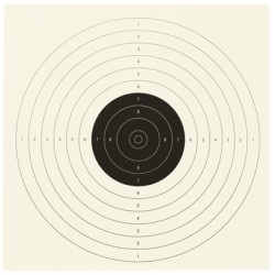 CIBLES PISTOLET CARTON C17...