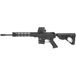 CARABINE AR15 LEGACY STORM...