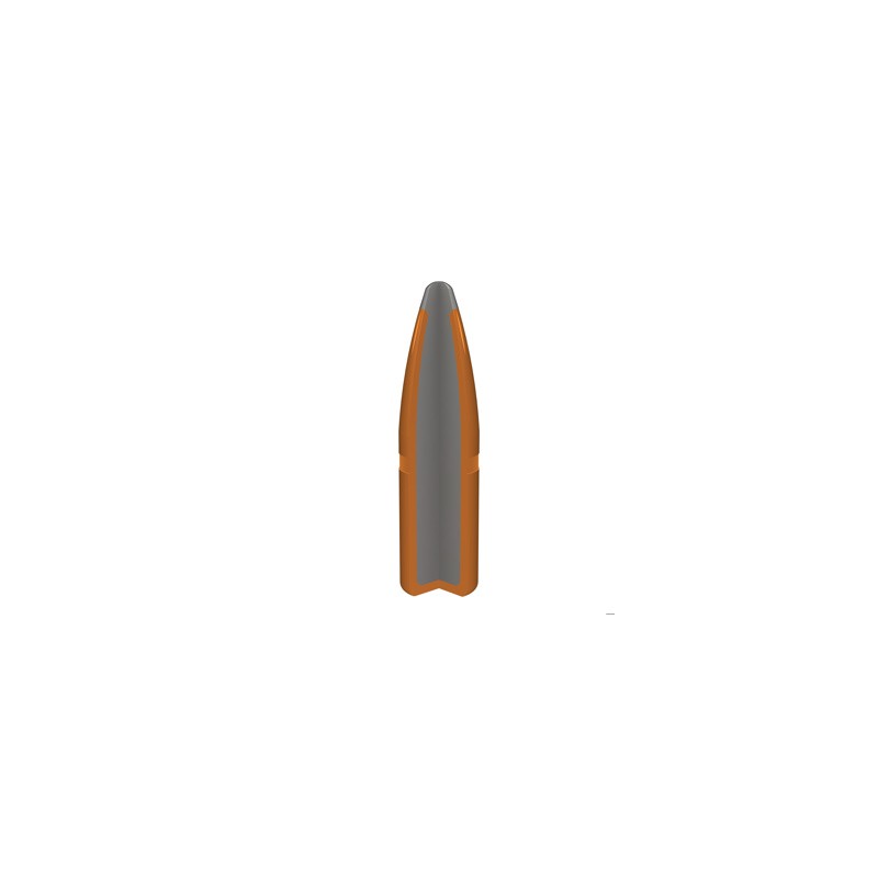 WINCHESTER CALIBRE 30-06 POWER POINT 180gr
