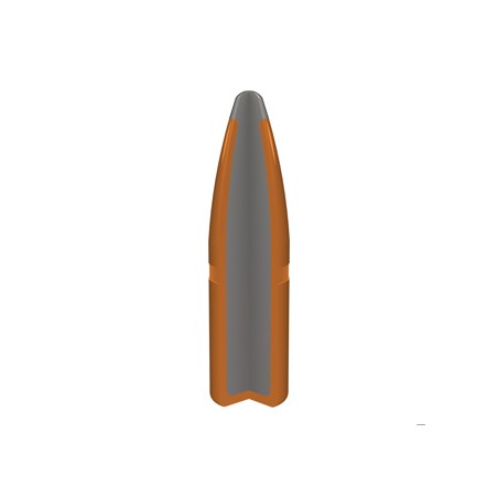 WINCHESTER CALIBRE 30-06 POWER POINT 180gr