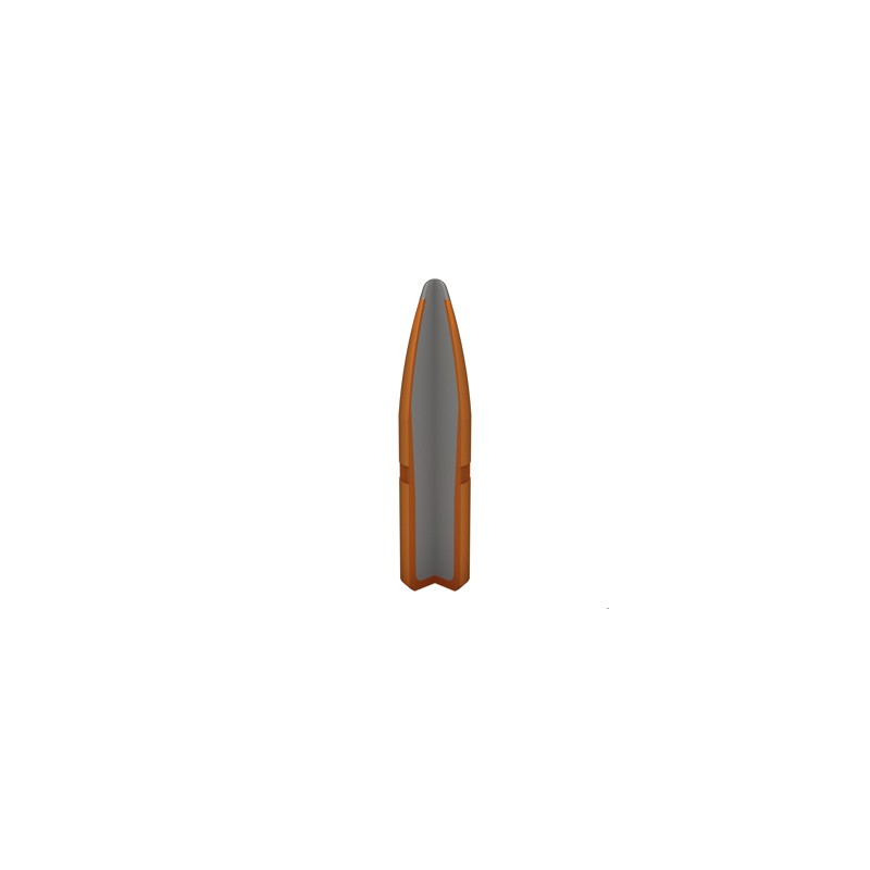 WINCHESTER CALIBRE 243 WIN POWER POINT 100gr