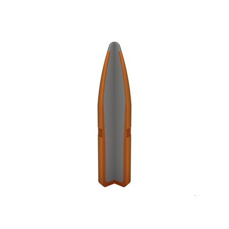 WINCHESTER CALIBRE 243 WIN POWER POINT 100gr