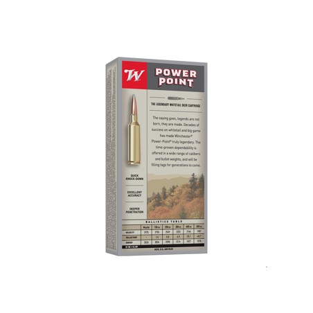 WINCHESTER CALIBRE 300 WSM POWER POINT 180gr
