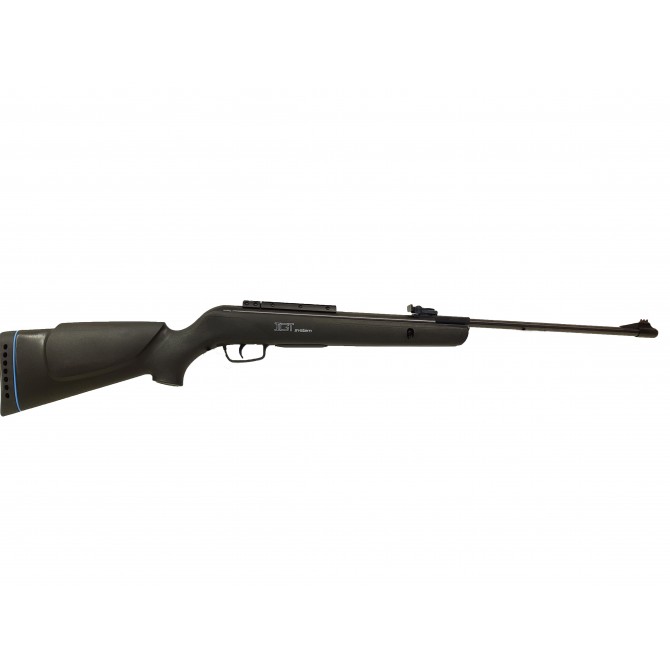 Carabine à air comprimé GAMO BIG CAT 1000 -EB 19.9 joules