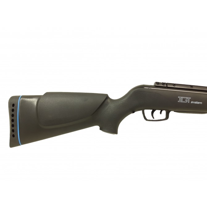 Carabine à air comprimé GAMO BIG CAT 1000 -EB 19.9 joules