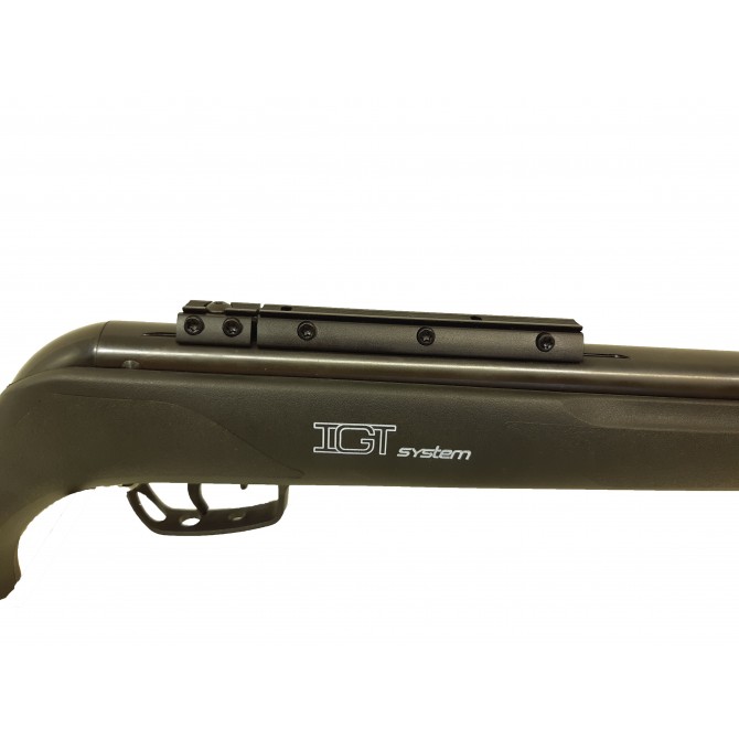 Carabine à air comprimé GAMO BIG CAT 1000 -EB 19.9 joules