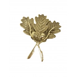 FEUILLE DE CHENE