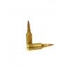 Sologne 243 WSSM Nosler BT 95grs