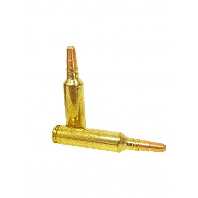 BALLES SOLOGNE GPA 270WSM 143 GRAINS PAR 20