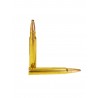 SOLOGNE Nosler Partition  30R BLASER  180Gr