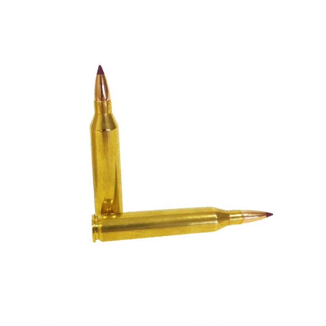 SOLOGNE 6x62 Frères NOSLER Balistic Tip 95 GR