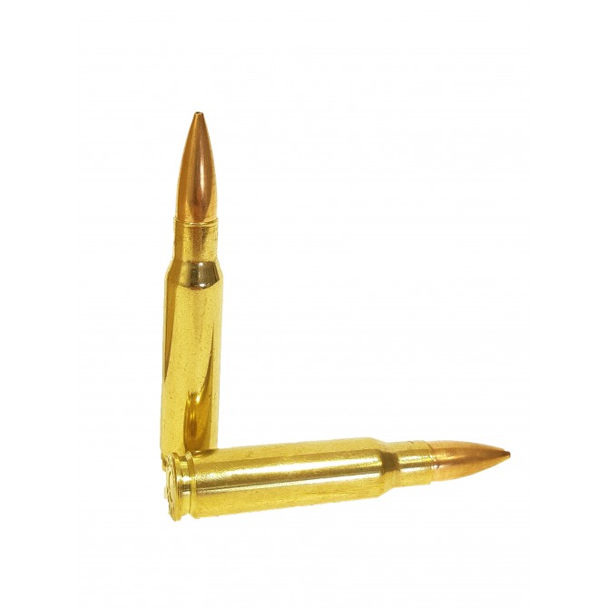 MUNITIONS SUBSONIQUES SOLOGNE 308 WIN 168 GRAINS