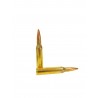 Cartouches PARTIZAN HP BT 250 gr .338 Lapua Magnum