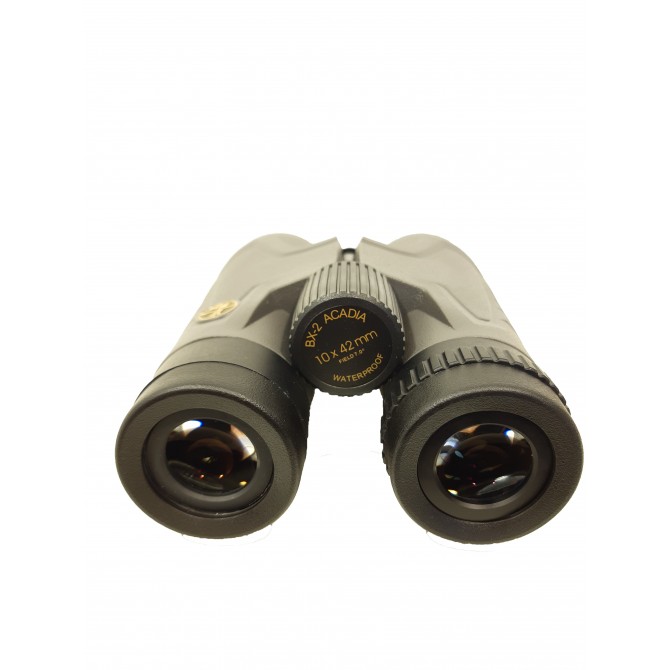 Leupold BX-2 Acadia 10x42