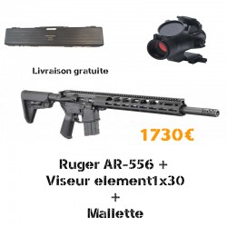 Pack RUGER AR-556 + Viseur...