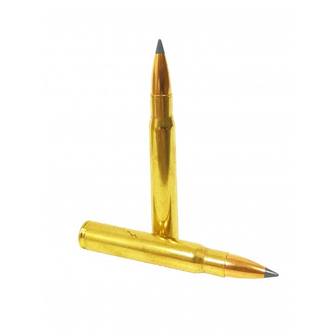 Sologne 8x64S Nosler BT 180grs