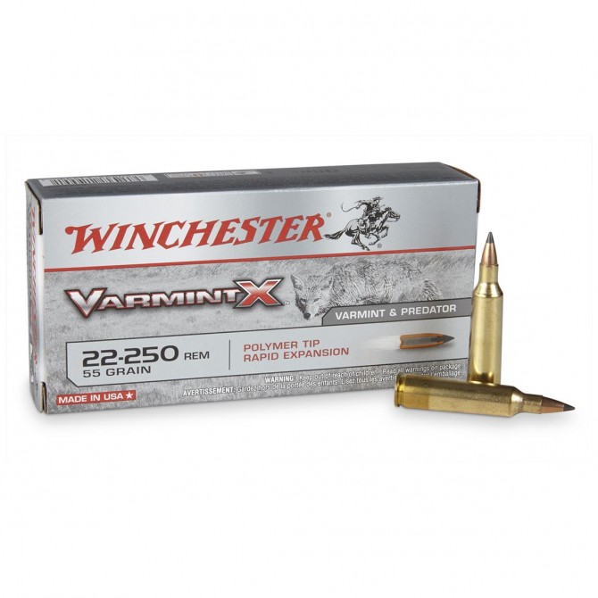 WIN 22_250 VARMINT_X 55GR