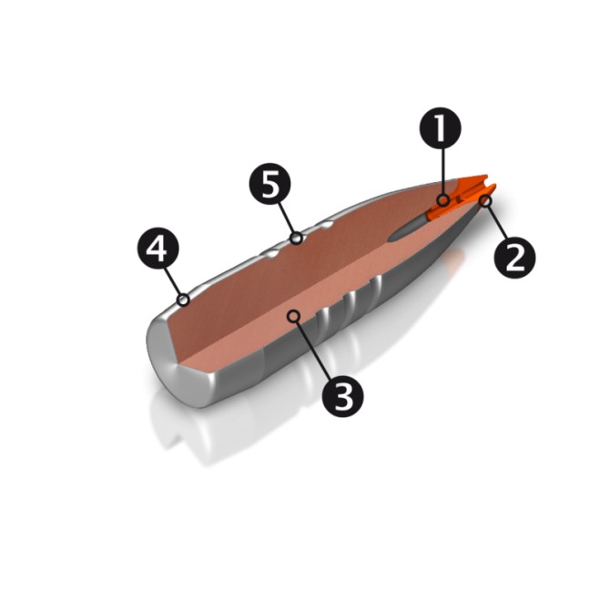 MUNITIONS GRANDE CHASSE RWS 308 WIN SPEED TIP PRO 10.7gr