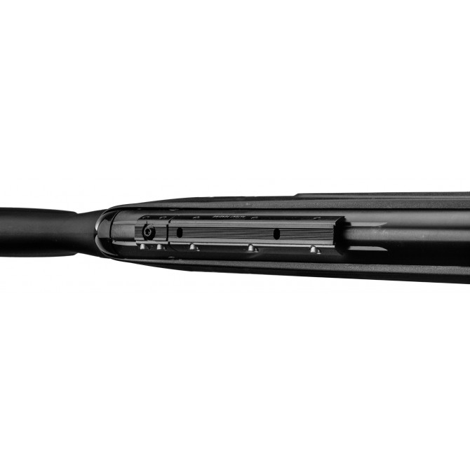 Carabine Gamo Black Fusion IGT 29 Joules + 4X32 WR