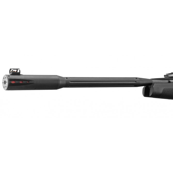 Carabine Gamo Black Fusion IGT 29 Joules + 4X32 WR